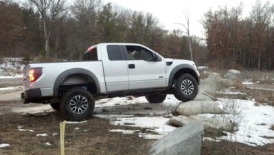 raptor on rock side view.jpg