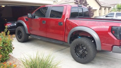 2014 Raptor.jpg