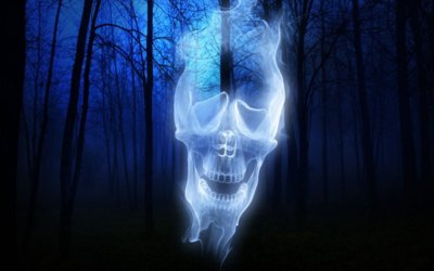 forest-skull.jpg