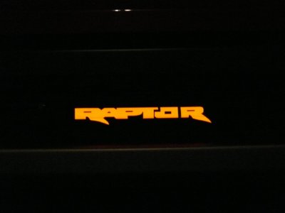 new raptor plaque orange on no flash.jpg