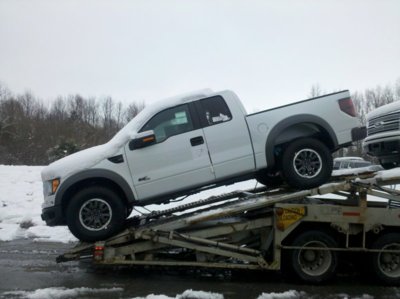 Raptor on transport trailer.jpg