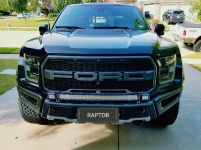 2017raptor.jpg