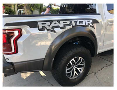 Raptor Graphics.png