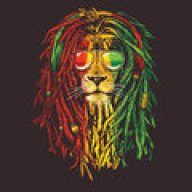 RASTA DUDE