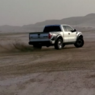 raptor_qatar