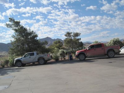 Silver and Red Raptor in Primm.jpg