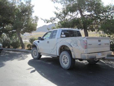 Silver and Red Raptor in Primm3.jpg