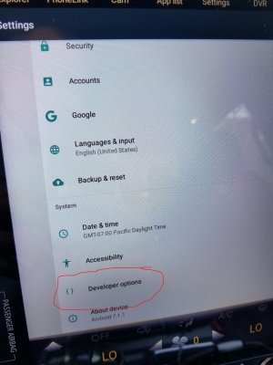 developer options.jpg