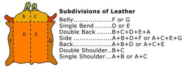 Leather Hide Chart.jpg