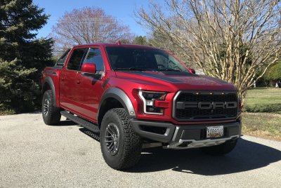 Raptor5.jpg