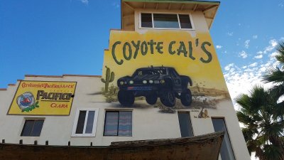 Coyote Cals 2018.jpg