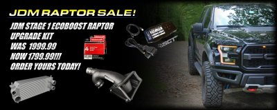 RAPTOR SALE no logo.jpg