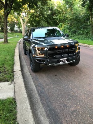 2018 raptor 01.jpg