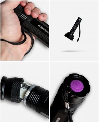 UV Flashlight.JPG