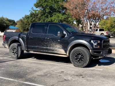 Dirty Raptor.jpg