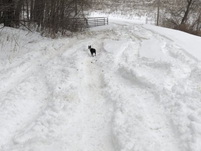 snow ruts on driveway.jpg