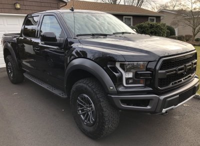 raptor.JPG raptor.JPG