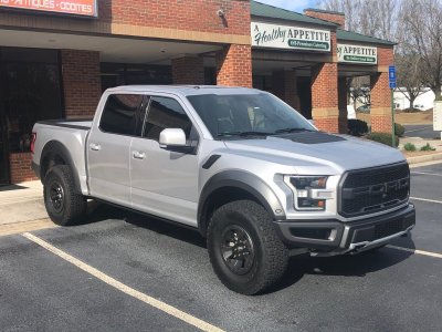 2018Raptor.JPG