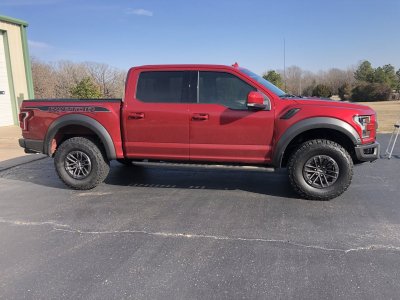 Raptor3.jpg