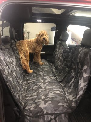 Gen 2 Best Interior Cover For Pets Ford Raptor Forums - Best Dog Seat Covers For F150