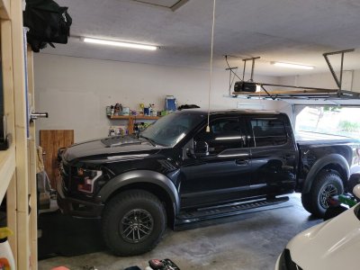 2019 Raptor.jpg 2019 Raptor.jpg