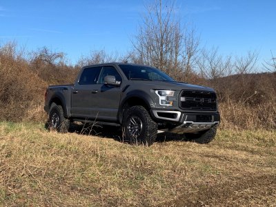 Raptor 11.jpg