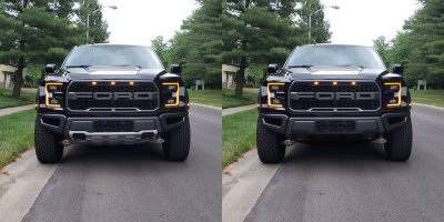 raptor simulated plastidip.jpg