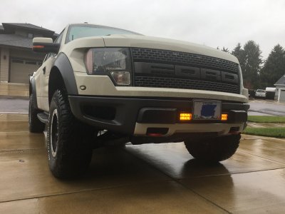 Raptor yellow fog LEDs.JPG