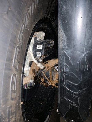 2020-12-20 – Parking Brake Motor Wrecked, Hose and Wires Severed, and Cable Wrapped Around.jpeg