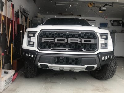 Raptor with fog lights.jpg