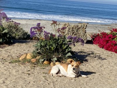 Panga Beach.jpg