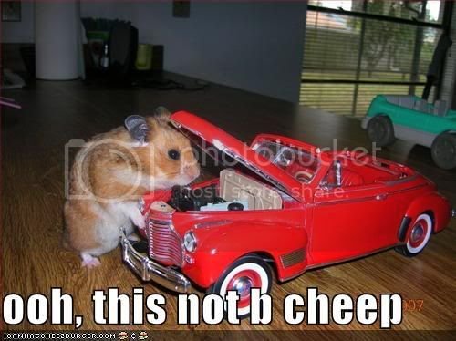 funny-pictures-your-hamster-mechani.jpg