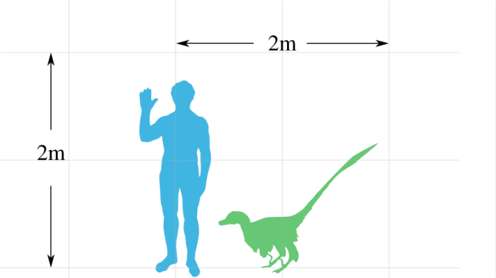 800px-Vraptor-scale.svg.png