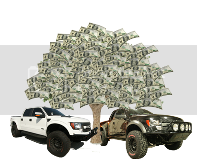 Money-Tree.png