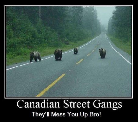 canadian-street-gangs.jpg