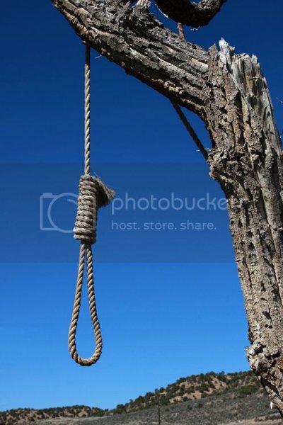 hanging-noose-_zps03f604a5.jpg