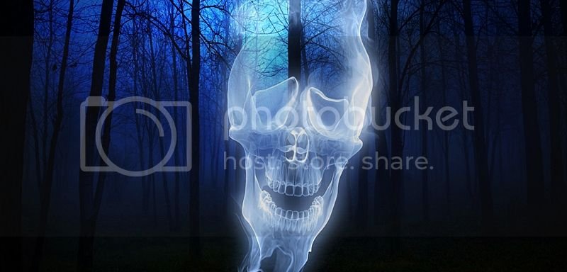 forest-skull-ghost-wallpaper800.jpg