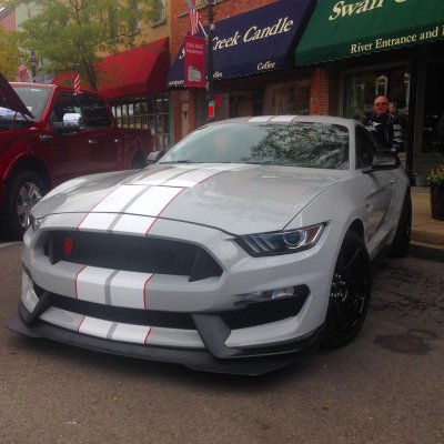 mustang-gt350-avalanche-gray-photos-2016-gt350-ag1.jpg