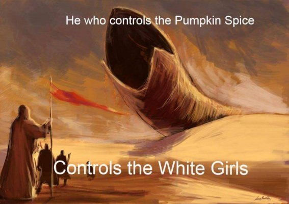 pice-controls-the-white-girls-dune-meme-1442191125.jpg