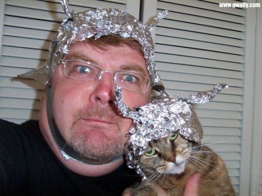 tinfoil+hat+with+tinfoil+cat.jpg