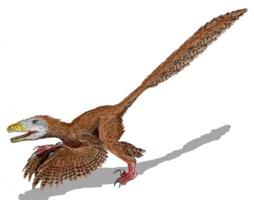 761px-deinonychus_bw.jpg