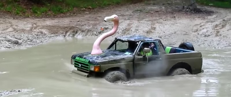 swan-bronco.jpg