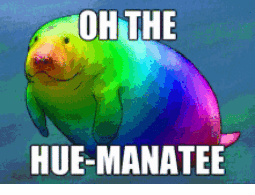 ohthe-hue-manatee-26309853.png