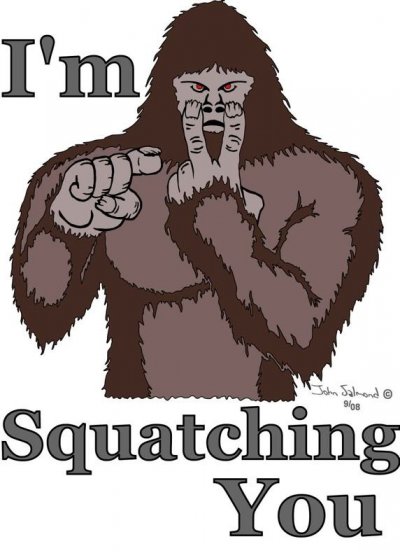 bfed4cdf4fb15af--finding-bigfoot-bigfoot-sasquatch.jpg