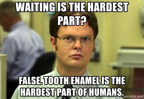 t-false-tooth-enamel-is-the-hardest-part-of-humans.jpg