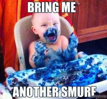 de057be3ced2f5bb949ae8b11--the-smurfs-funny-babies.jpg