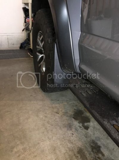 husky%20front.jpg husky%20front.jpg