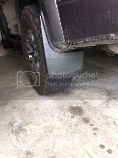 husky%20back.jpg husky%20back.jpg