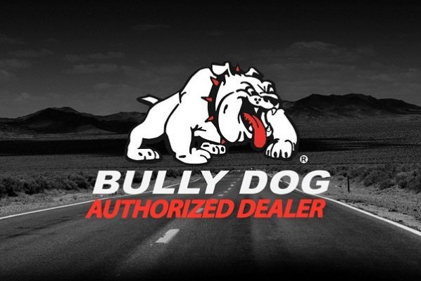 bully-dog-dealer.jpg