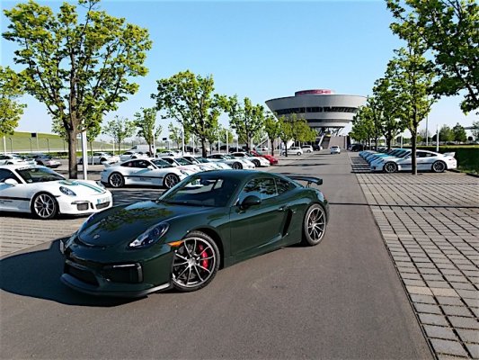 Porsche-Cayman-GT4-in-Brewster-Green_15.jpg